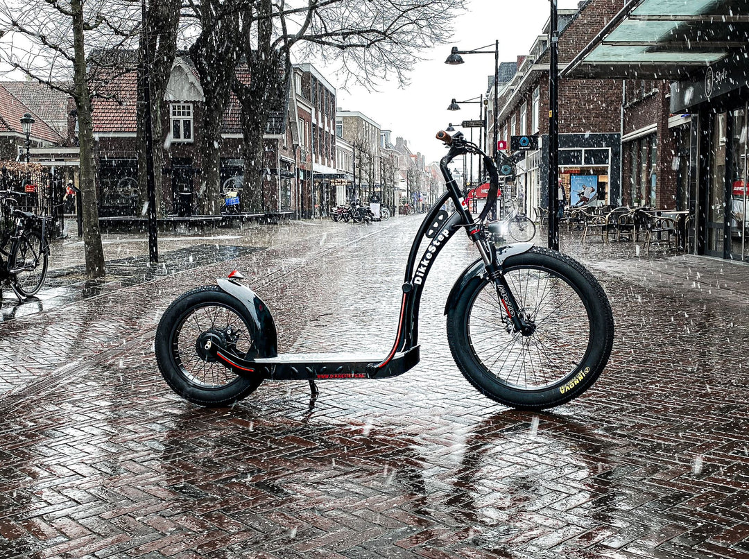 DIKKEFIETS™ | 'DikkeStep' - DikkeFiets