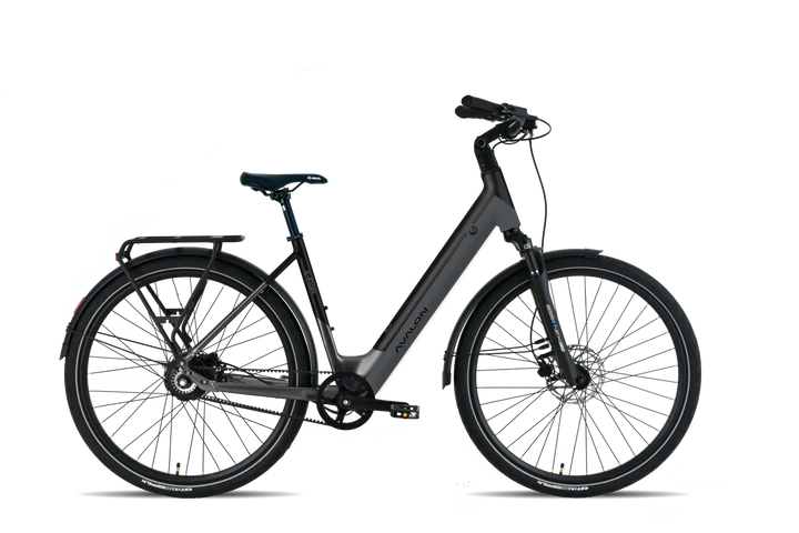 Avalon I E-Flow