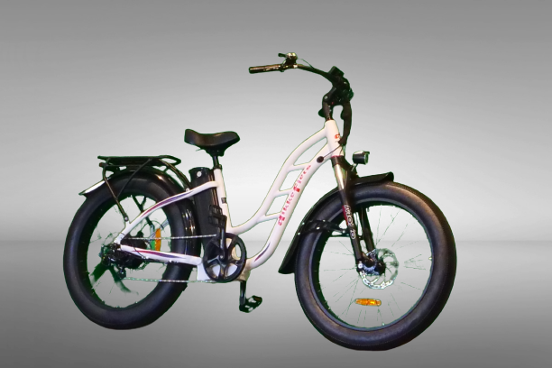 DIKKEFIETS™ | 'CRUISER LADY' - DikkeFiets