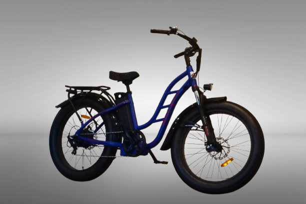 DIKKEFIETS™ | 'CRUISER LADY' - DikkeFiets