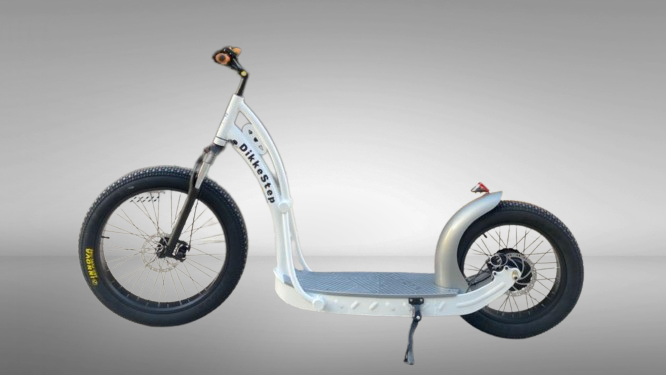 DIKKEFIETS™ | 'DikkeStep' - DikkeFiets