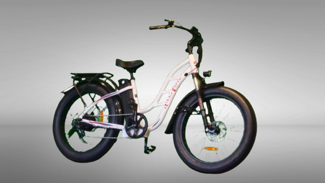 DIKKEFIETS™ | 'CRUISER LADY' - DikkeFiets