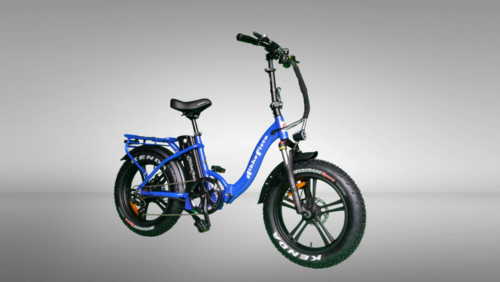 DikkeFiets™ | 'Elegant' - DikkeFiets