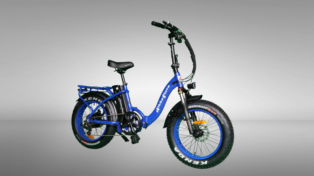 DikkeFiets™ | 'Elegant' - DikkeFiets