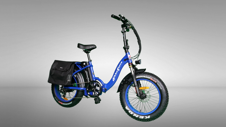 DikkeFiets™ | 'Elegant' - DikkeFiets